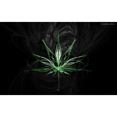 Instruction manual - medical cannabis